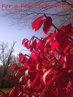 cover image of For a Few Haiku More